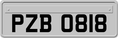 PZB0818