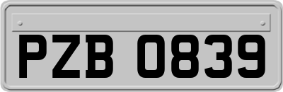 PZB0839