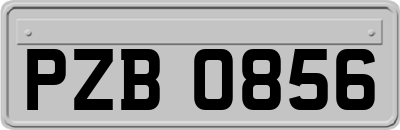 PZB0856