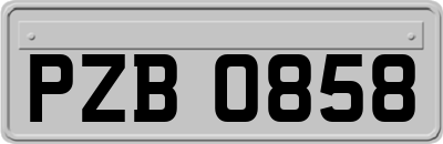 PZB0858