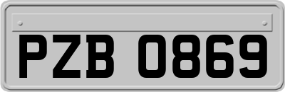 PZB0869