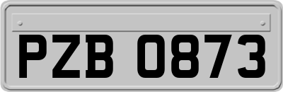 PZB0873