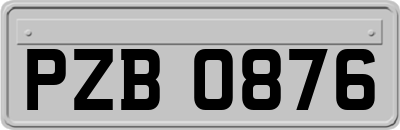 PZB0876