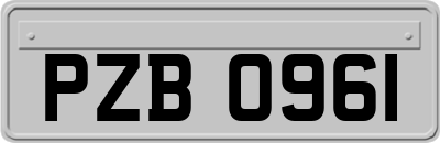 PZB0961