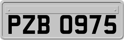 PZB0975