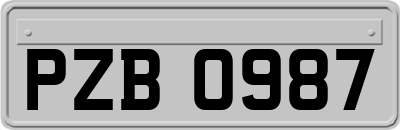 PZB0987