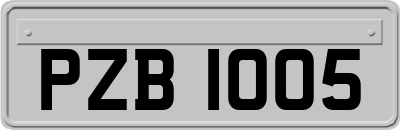 PZB1005