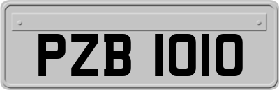 PZB1010