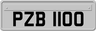 PZB1100