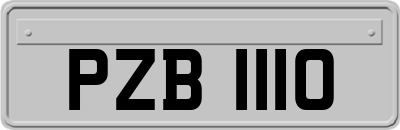 PZB1110