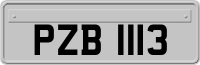 PZB1113