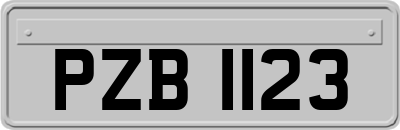 PZB1123