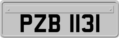 PZB1131