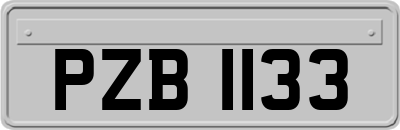 PZB1133