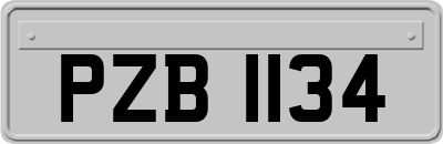PZB1134
