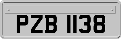 PZB1138