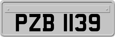 PZB1139