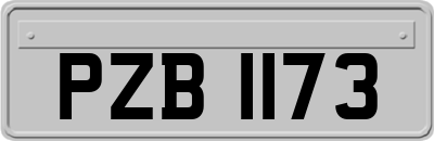 PZB1173