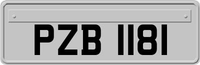 PZB1181