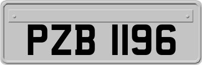 PZB1196