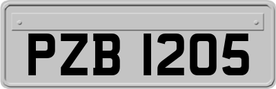 PZB1205