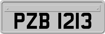 PZB1213