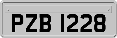 PZB1228