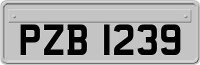 PZB1239