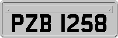 PZB1258