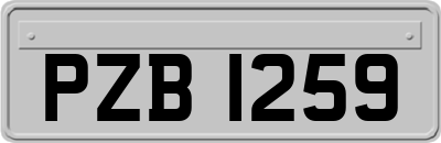 PZB1259