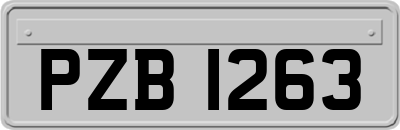 PZB1263