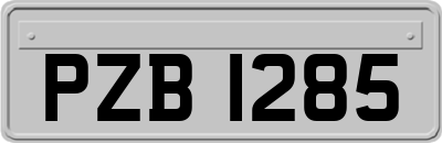 PZB1285