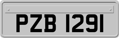 PZB1291