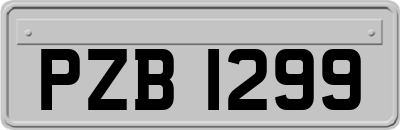 PZB1299