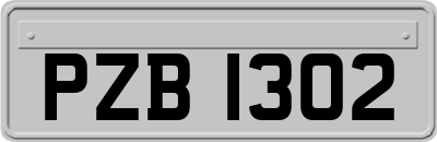 PZB1302