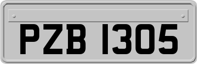 PZB1305