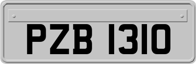PZB1310
