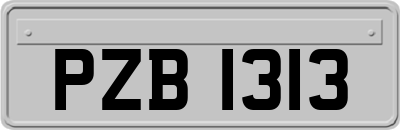 PZB1313
