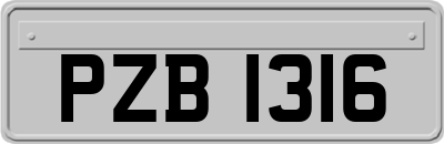 PZB1316