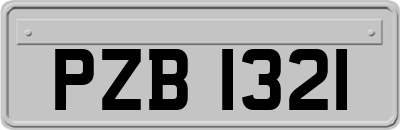 PZB1321