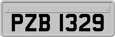 PZB1329