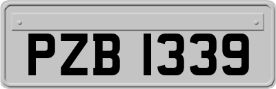 PZB1339