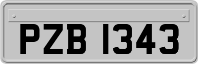PZB1343