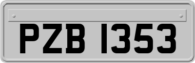 PZB1353