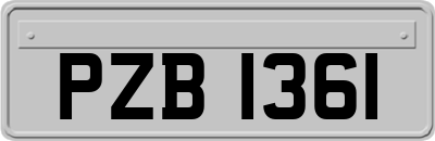 PZB1361