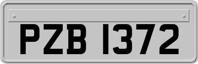 PZB1372