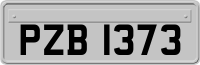 PZB1373