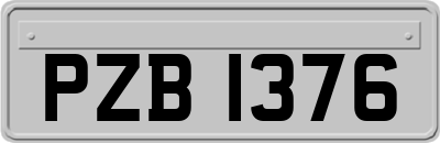 PZB1376