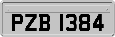 PZB1384