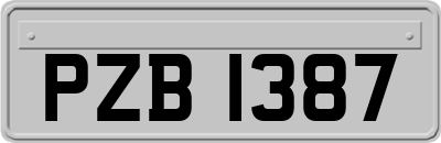 PZB1387